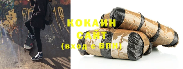 стафф Алексин