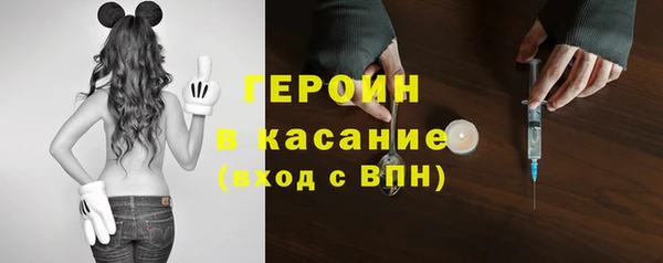 стафф Алексин