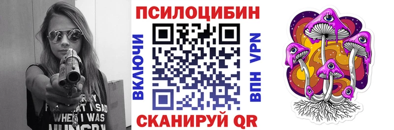 kraken   Амурск  Псилоцибиновые грибы Cubensis 