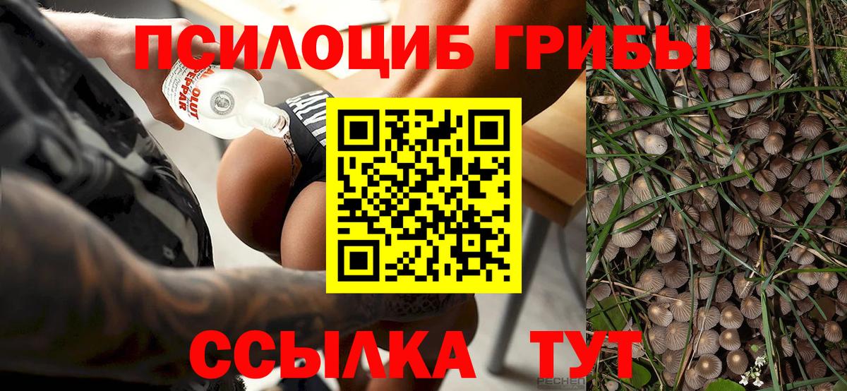 купить наркотик  Вход с VPN  Амурск  Псилоцибиновые грибы Psilocybine cubensis  Псилоцибиновые грибы мухоморы 